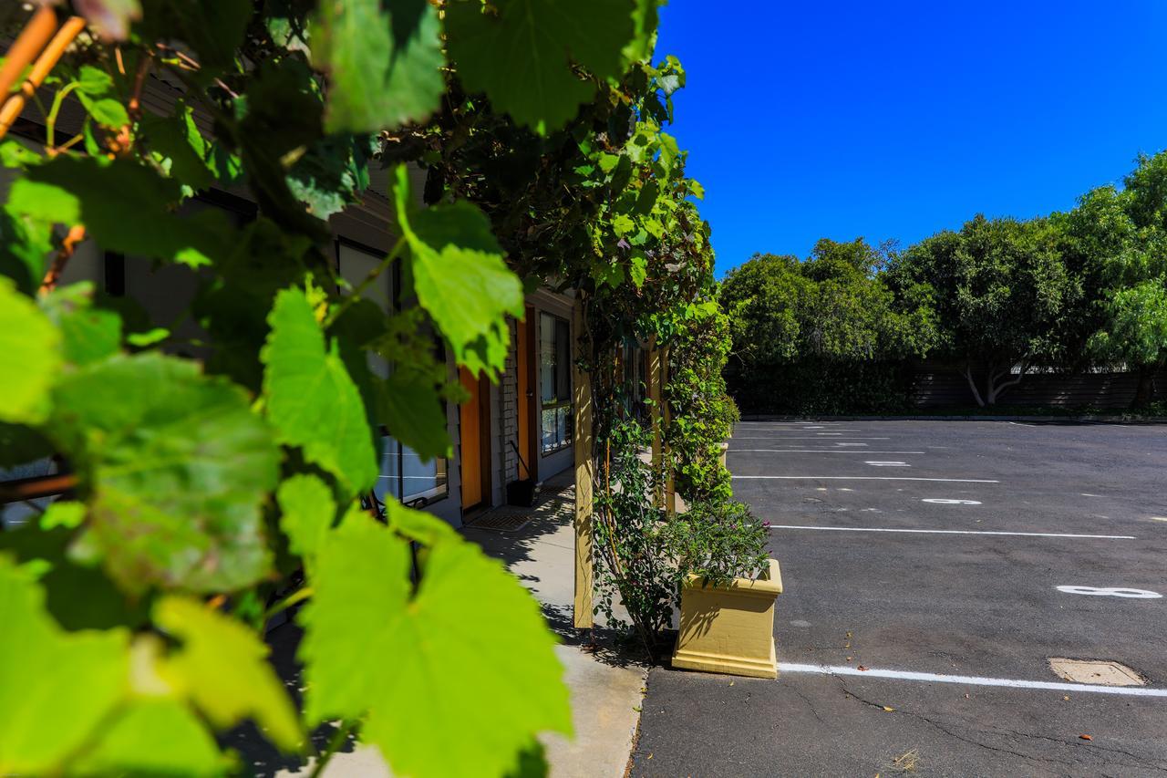 Country Roads Motor Inn Naracoorte Εξωτερικό φωτογραφία